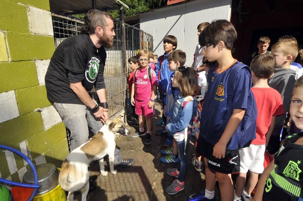 Visita de escolares a la protectora 'El Trasgu' en Mieres