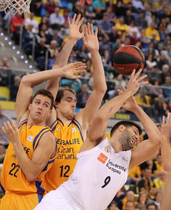 herbalife Gran Canaria vs Real Madrid