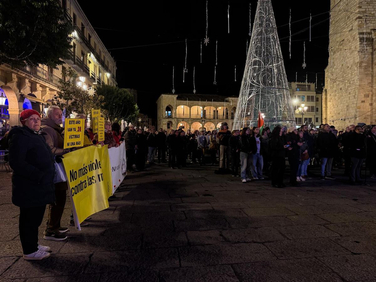 La lucha feminista tiñe de morado la Plaza Mayor de Zamora con motivo del 25N