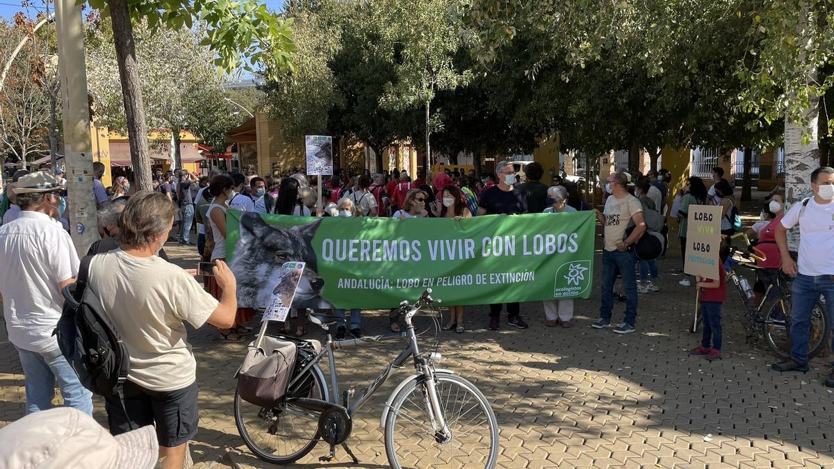 Manifestación de este sábado en defensa del lobo en Sevilla