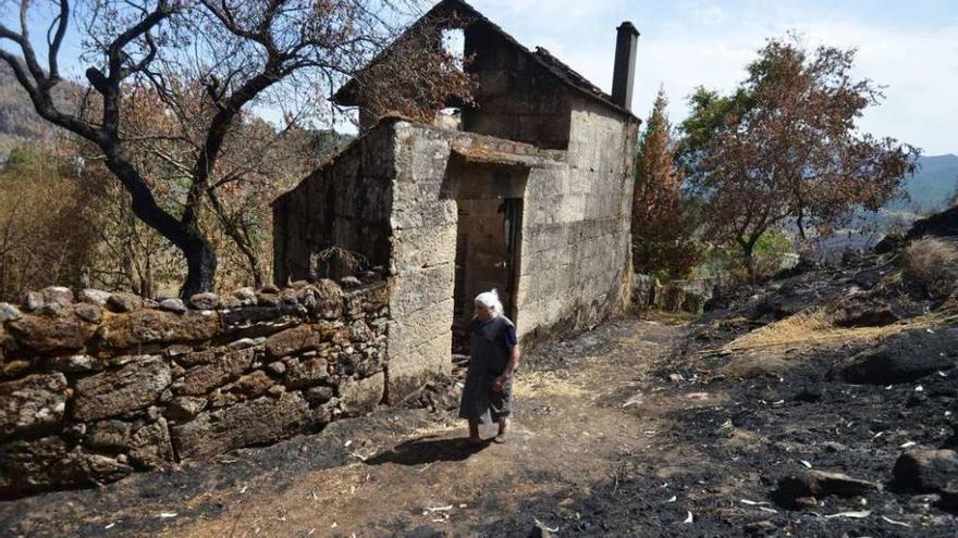 Zona quemada por los incendios del pasado verano en Pontesampaio. // Gustavo Santos