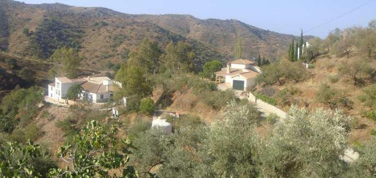 Algunas de las viviendas repartidas en la zona de Alto Jabonero.