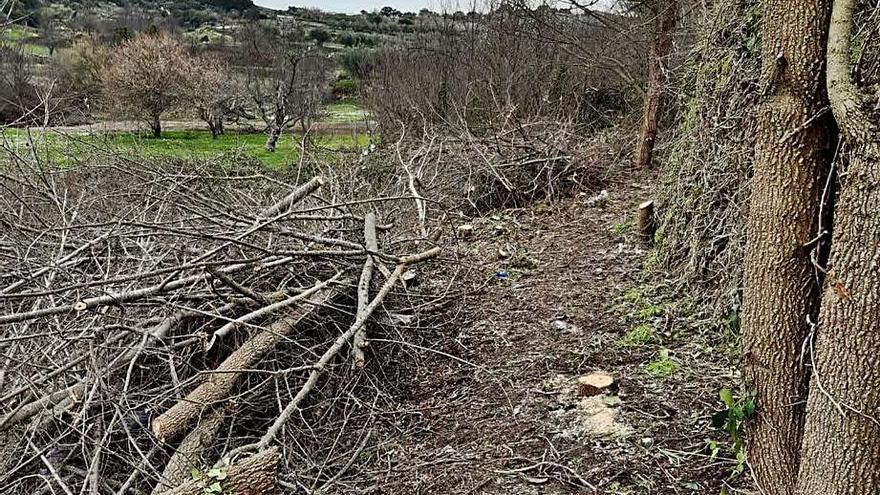 Fermoselle apela a la limpieza de fincas y solares para evitar y prevenir incendios | CEDIDAS