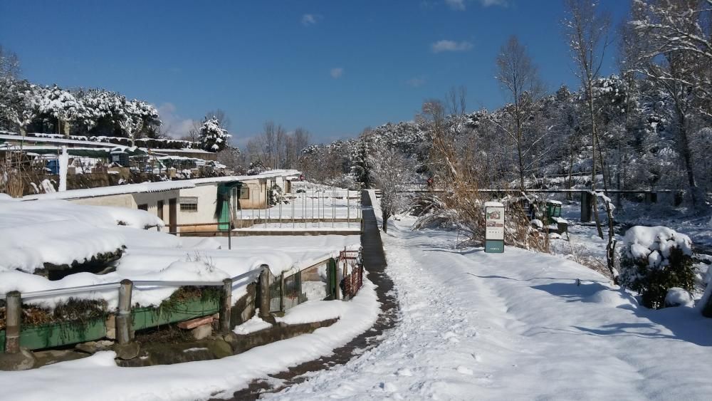 Històrica nevada a Gironella