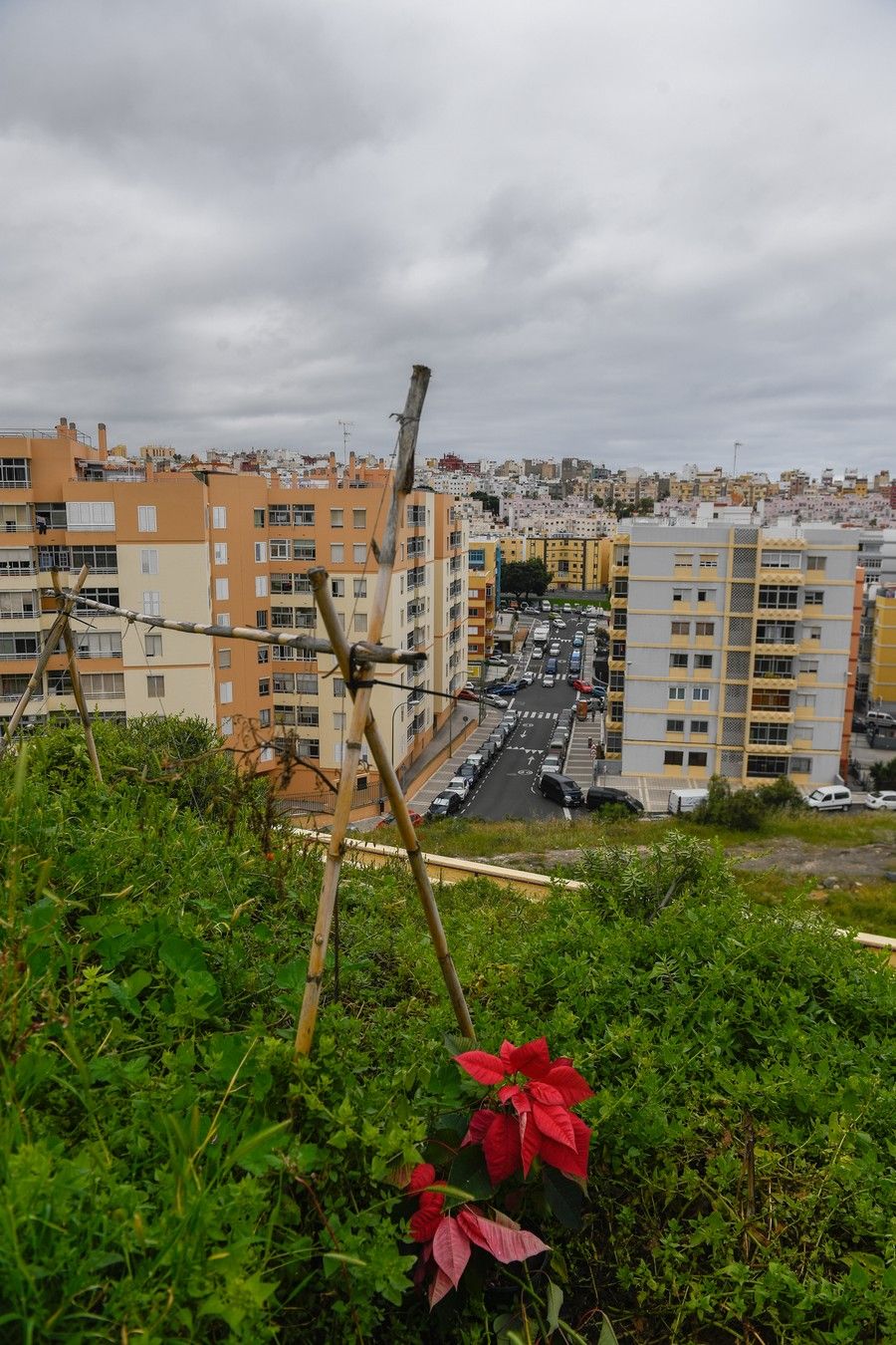 Meteorología en Las Palmas de Gran Canaria y Santa Brígida el 3 de febrero de 2021