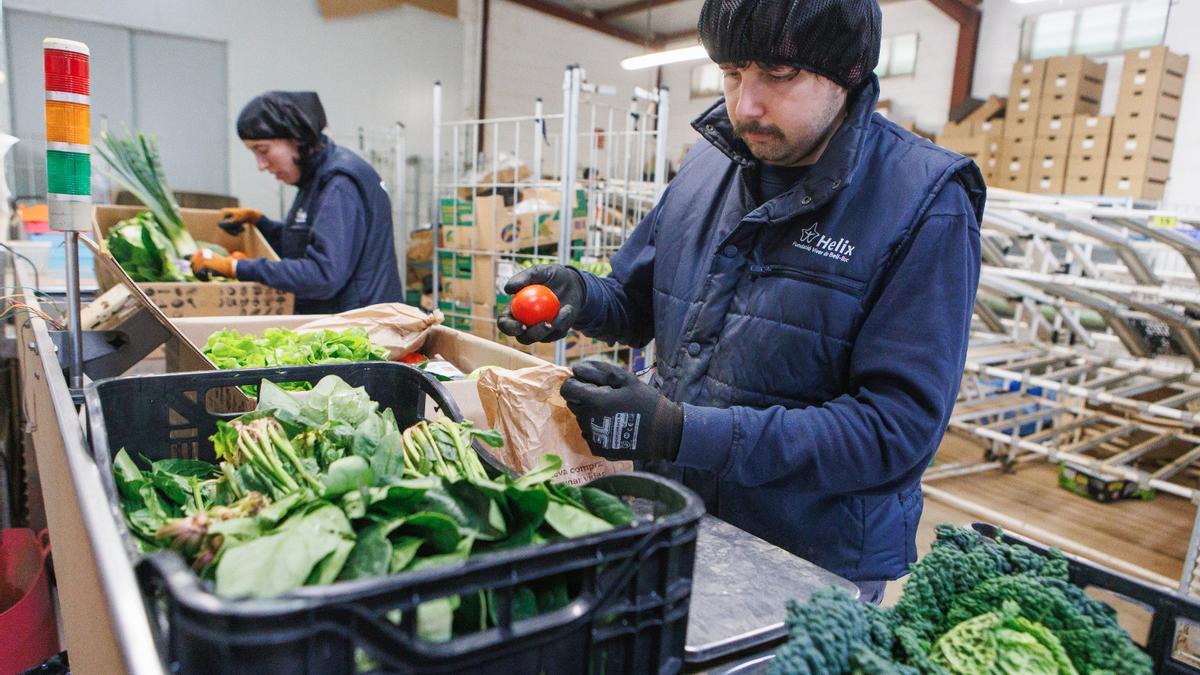 Meritxell e Ivan, trabajadores de La Tavella, preparan los pedidos de frutas y verduras de proximidad.