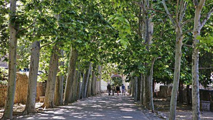 Die MZ nimmt Sie mit zum Rundgang durch die Jardins d&#039;Alfàbia