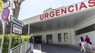 Cuenta atrás para confirmar el posible caso de hantavirus en Alicante: la PCR de la alicantina ya está en el laboratorio nacional