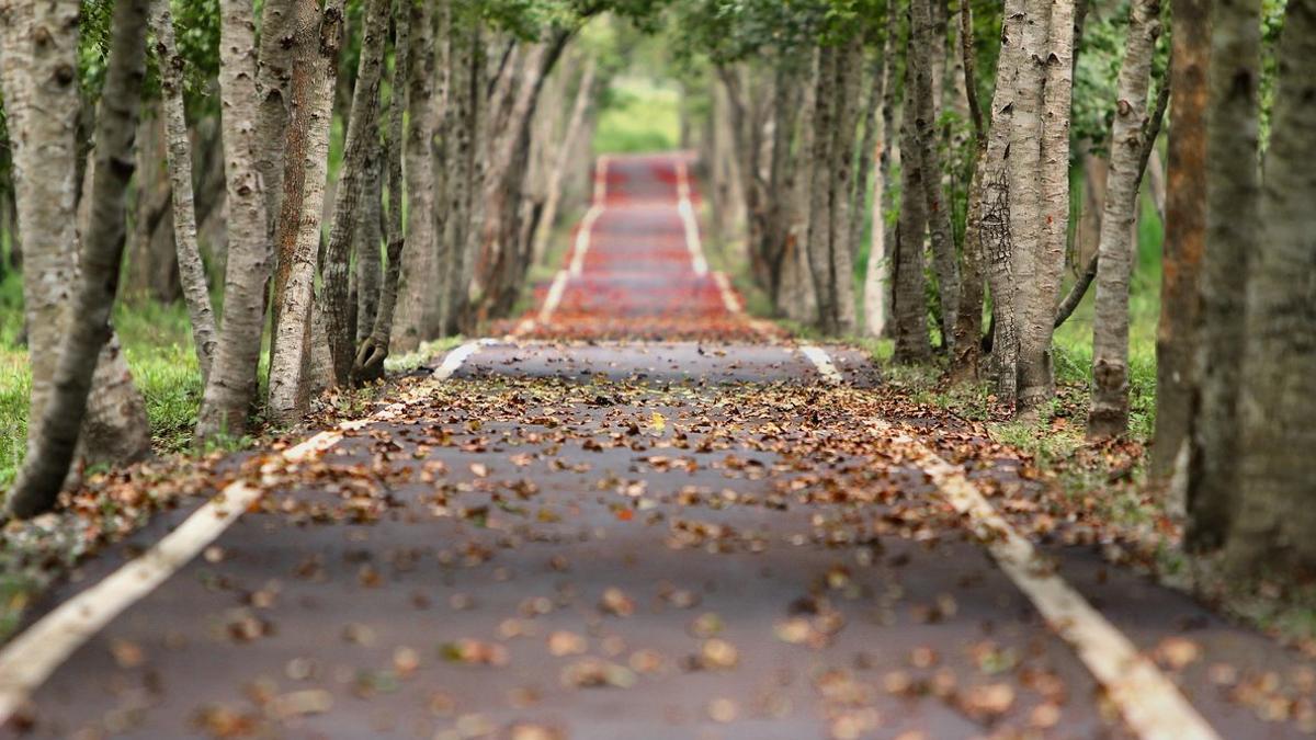 Carretera