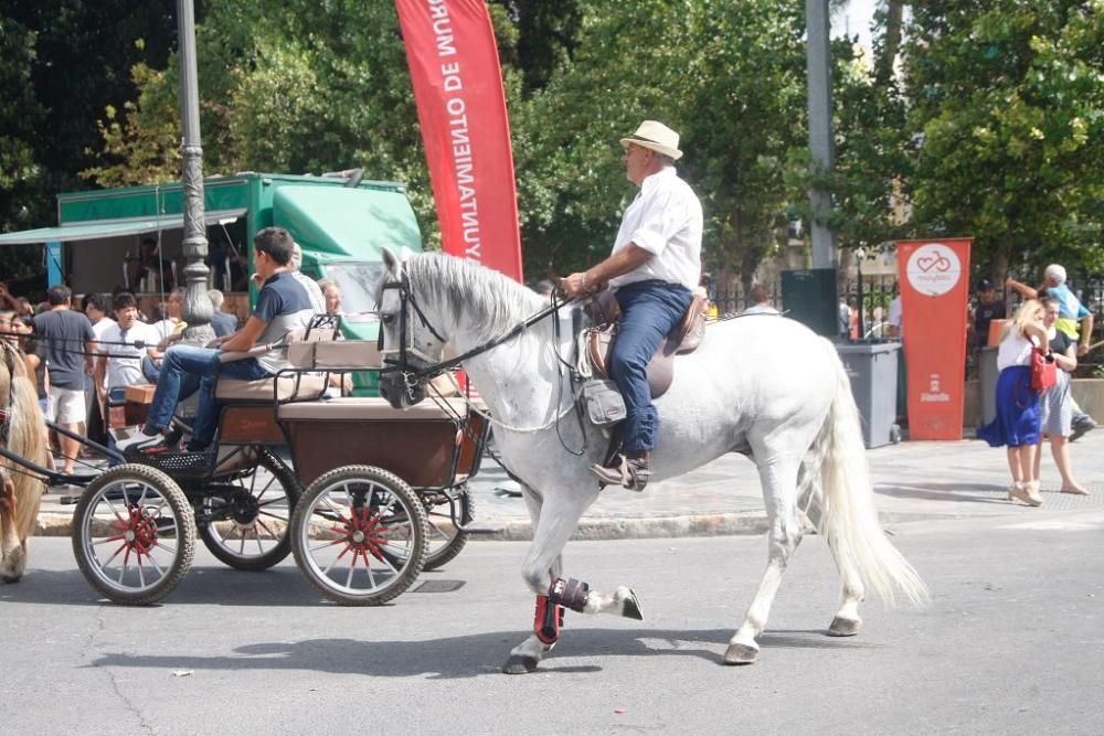 Día del caballo en la Feria de Murcia 2018