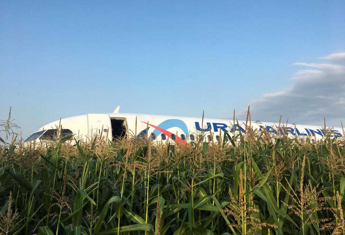 Un avió realitza un aterratge d'emergència en un camp de blat de moro prop de Moscou