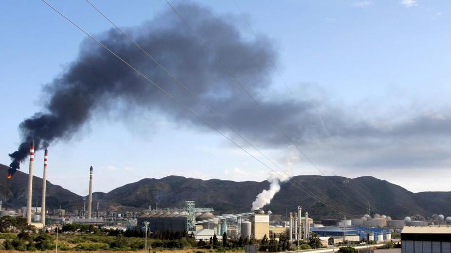 La mayor parte de los productos petrolíferos (gasolinas, gasóleos, fuelóleos, carburantes de aviación, biocombustibles) que se venden en el exterior salen de la refinería que se encuentra en el valle de Escombreras, en Cartagena.