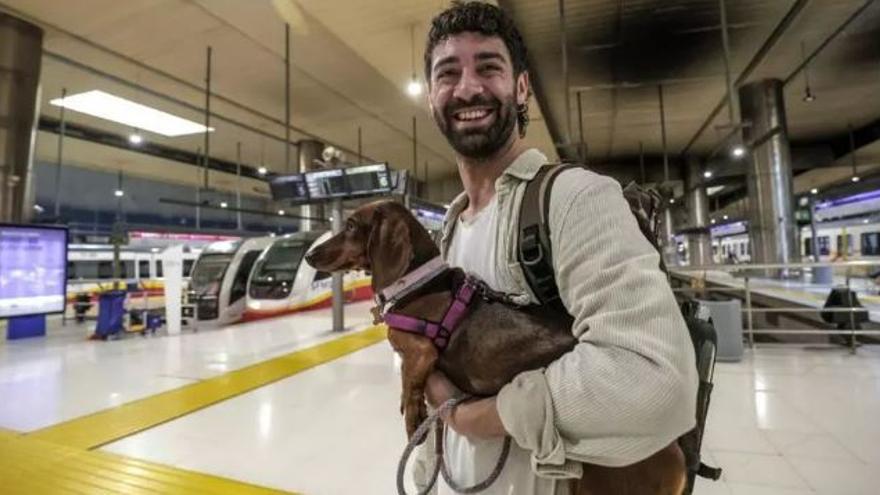 Was Sie nun beim Fahren in Zug und Metro mit Ihren Haustieren auf Mallorca beachten müssen