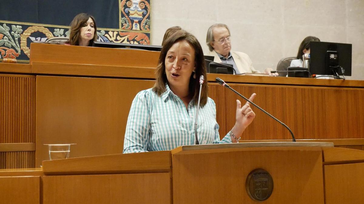 La consejera de Bienestar Social del Gobierno de Aragón, Carmen Susín, en el Pleno de las Cortes, este viernes.