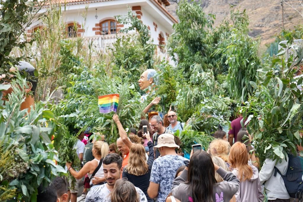 Celebración de la rama De San Pedro en Agaete