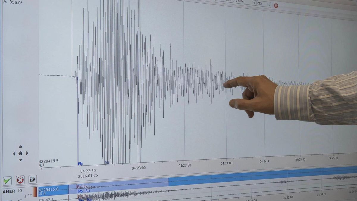 Imagen de archivo de la gráfica de un terremoto.