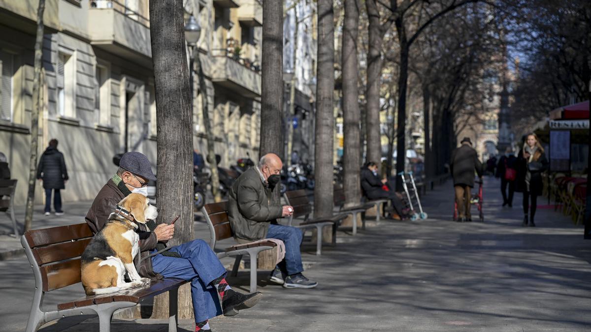 Avilés ofrece formación a voluntarios para atender la soledad no deseada