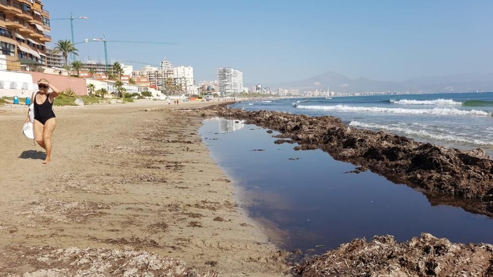 Meteorología prevé un otoño más cálido de lo normal con un último fin de semana tórrido en Alicante