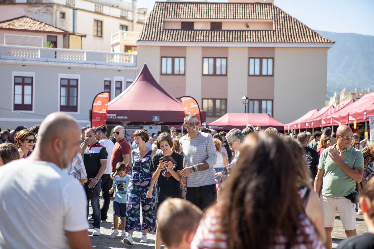 FOTOS: Feria de la Ciencia de La Orotava