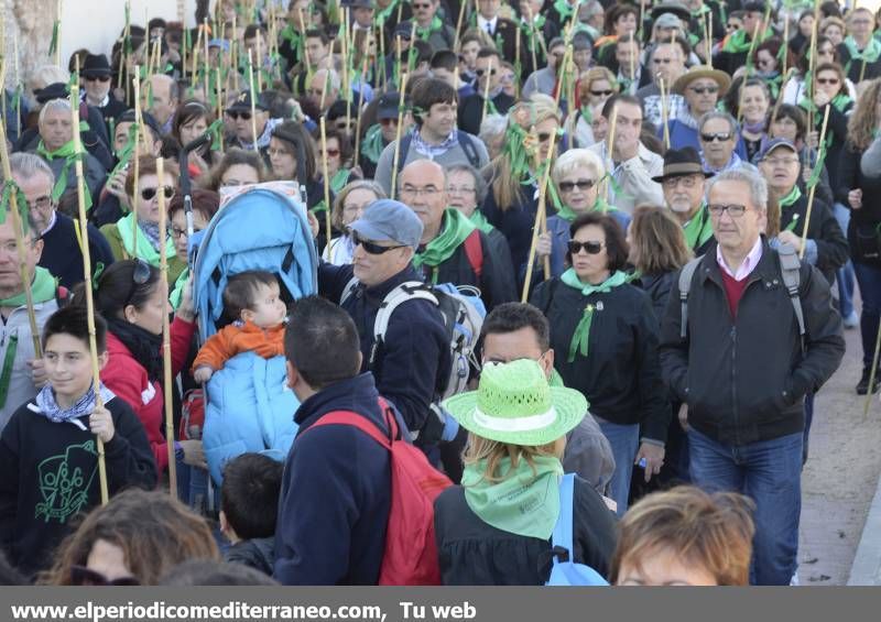 GALERÍA DE FOTOS - Romería Magdalena 2014 (4)