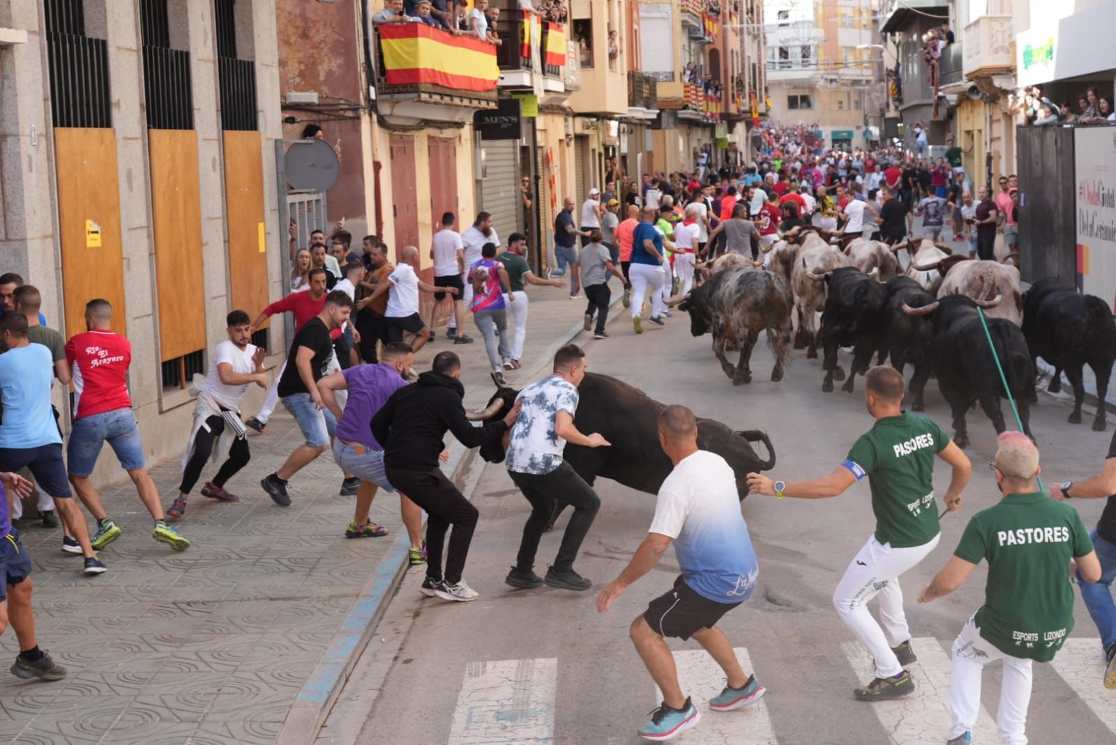 Las mejores imágenes del encierro de  Couto de Fornilhos y Santa Teresa en Onda