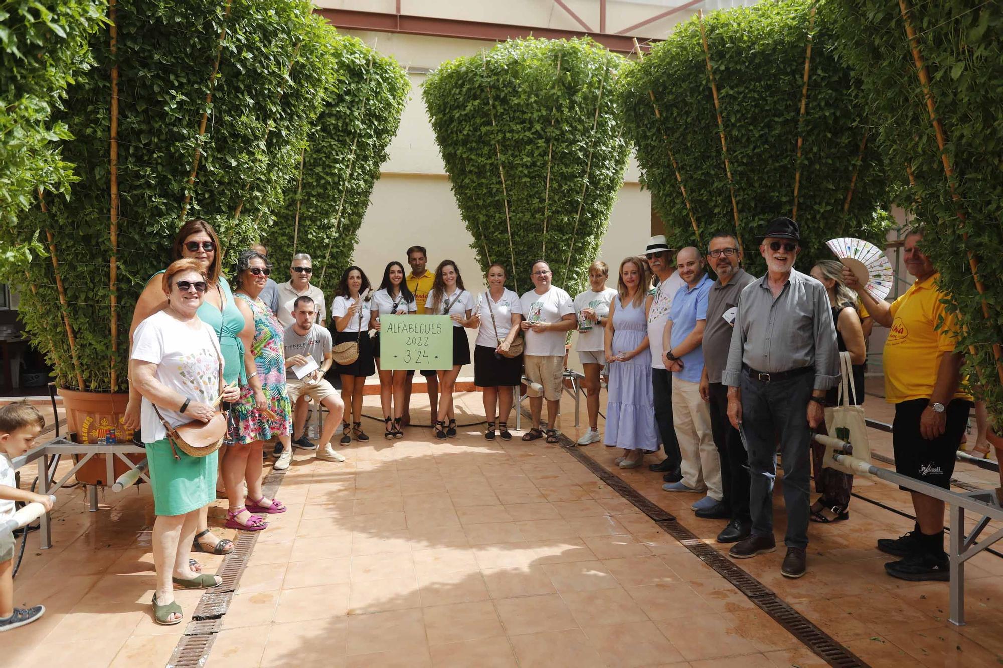 Las alfàguebes de Bétera marcan un nuevo Record Guinness