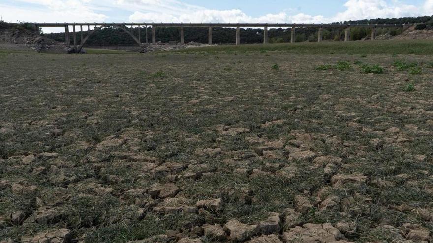 El Consejo Agrario abordará la sequía el 18 de mayo