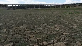 El voto de la concordia de las aguas, más actual que nunca tres siglos después: la masacre de la sequía en Aliste