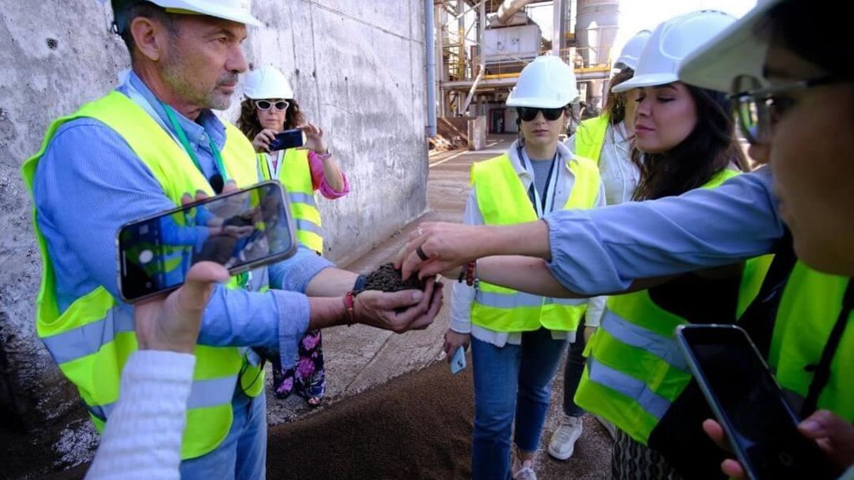 La economía circular del olivar: de aceites a campos de fútbol con huesos de aceituna