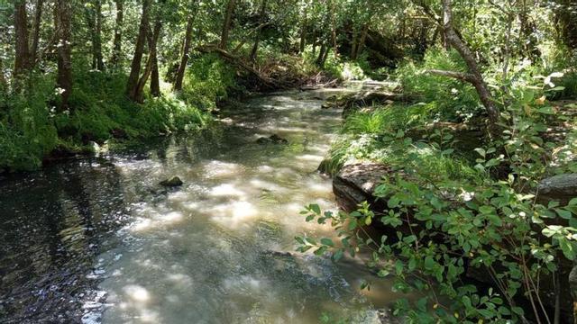 Vertido al río Asneiro el pasado miércoles a su paso por Botos. |