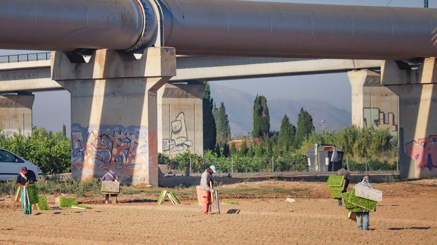 El Gobierno autoriza al Segura a poner en marcha los pozos de sequía