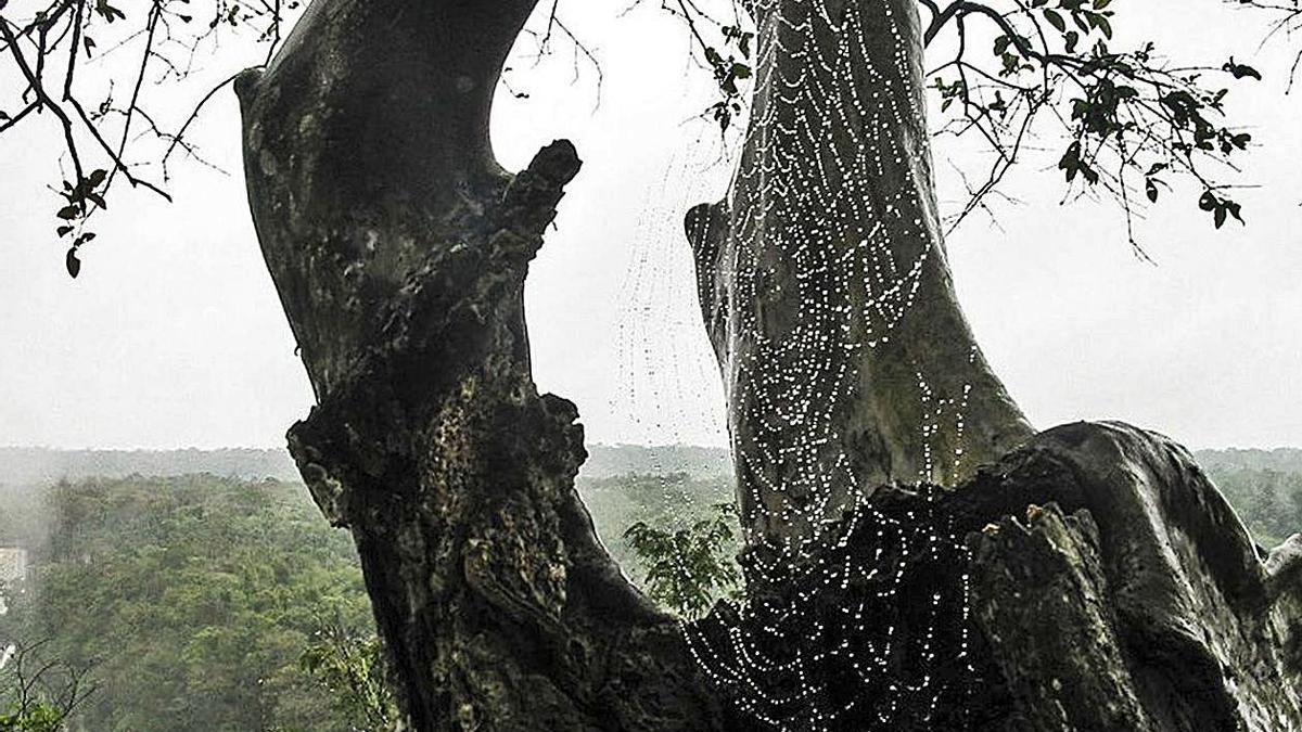 Fotografías de la artista María Dolores Mulá