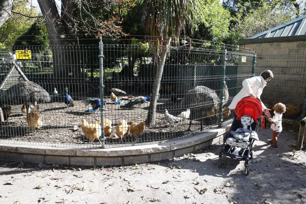 El parque Isabel la Católica supera las 600 aves