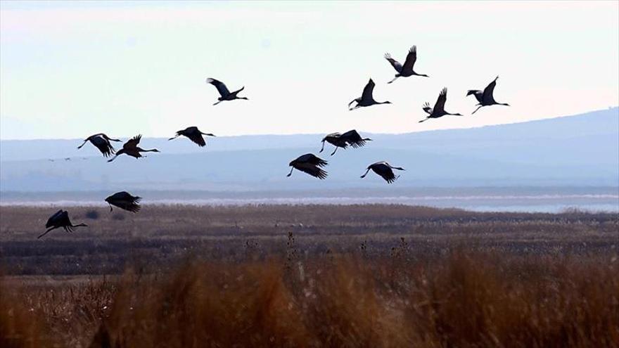 Los 240 humedales de Aragón destacan por su biodiversidad