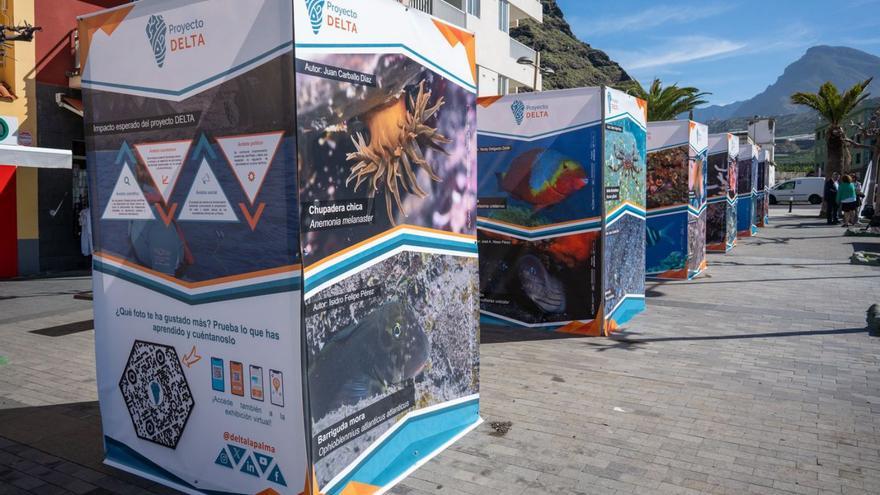 Una exposición en la calle muestra la diversidad de las nuevas fajanas