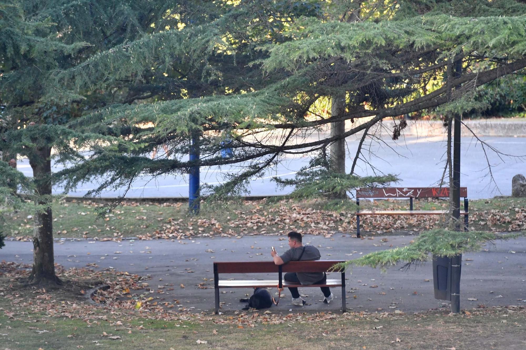 La Semana de la Arquitectura pone el foco en el parque Europa