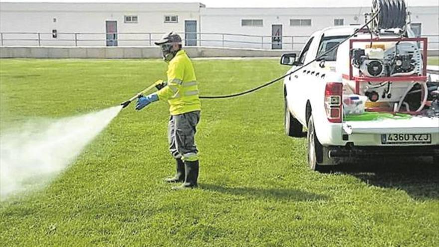 Moncofa refuerza las fumigaciones tras un repunte de los mosquitos