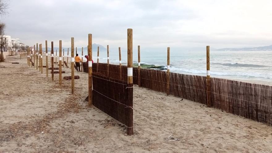 Arbeiter bauen Sandfangzäune am Strand von Can Picafort auf.