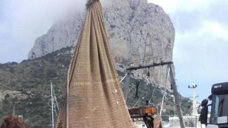 Atrapan en Calpe (Alicante) un tiburón peregrino de 4 toneladas