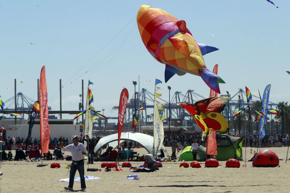 Festival del Viento 2016 en la Malva-rosa