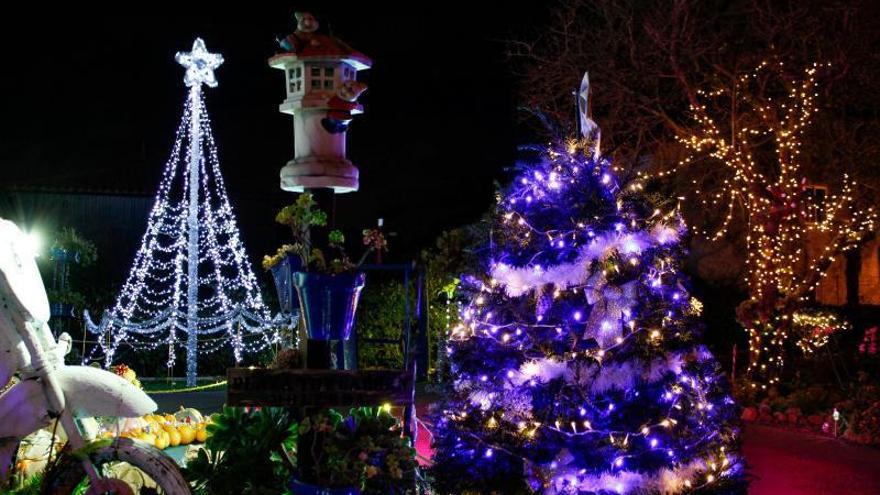 El Jardín de Molleda alumbra la Navidad con 30.000 bombillas led