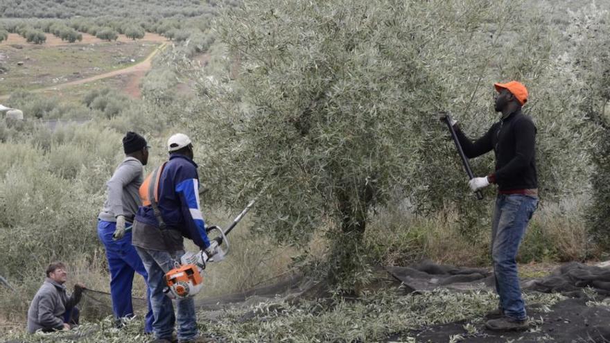 ¿Por qué cae el paro en la provincia de Córdoba y sube en el resto del país?