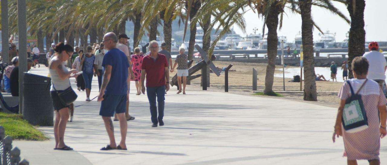 Les palmeres, algunes amb troncs molt deformats, són molt presents en el front de mar de Roses.