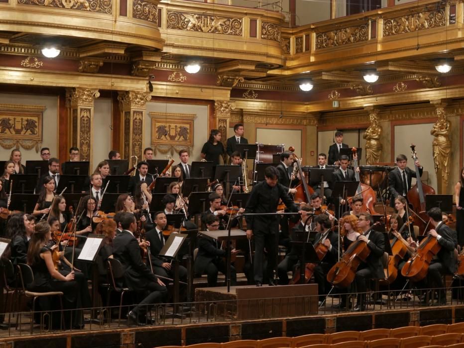 La Orquesta de Jóvenes de la Provincia durante su actuación