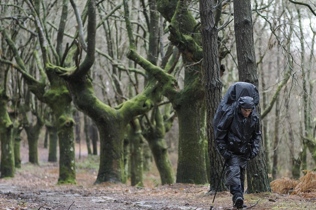 n peregrino de Jaca, Huesca, recorre el Camino De Santiago atravesando bajo la lluvia, un antiguo bosque cerca de la localidad de Portomarin, Lugo