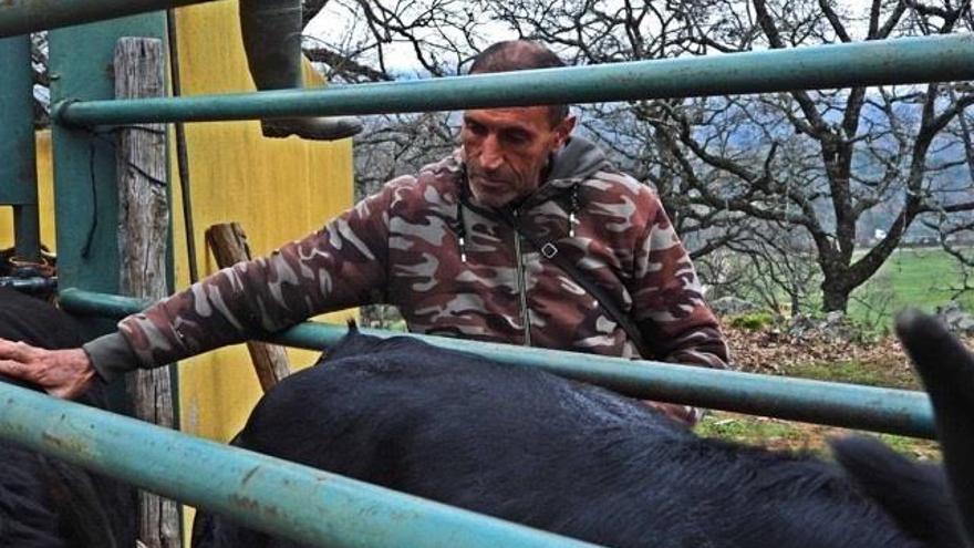 Ganaderos de la comarca, en desacuerdo con el saneamiento