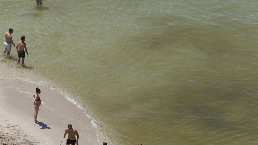 La mancha provocada por la aparición de microalgas en Cala Tarida, este verano.