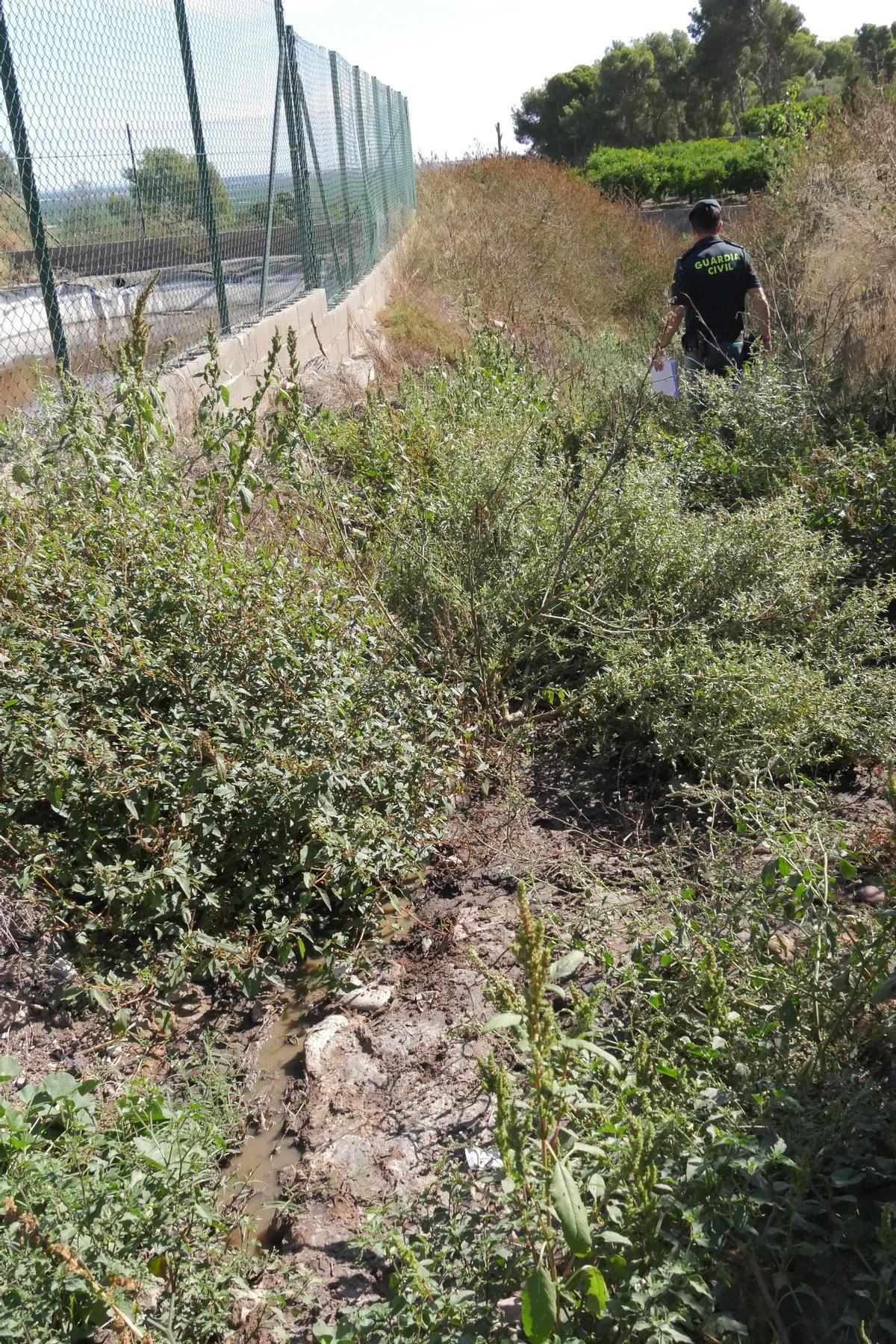 El escenario de uno de los mayores vertidos de purines: un desastre medioambiental