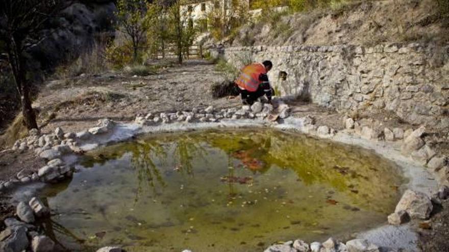 Paraíso para los anfibios