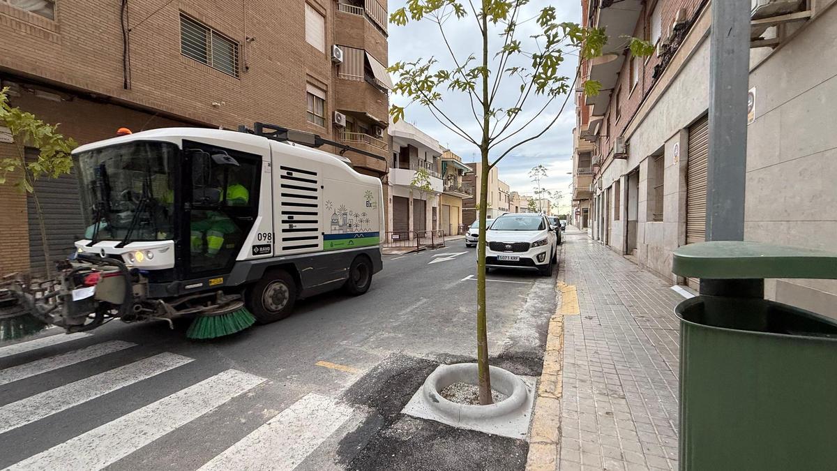 Uno de los árboles de Torrellano con el alcorque en la calzada